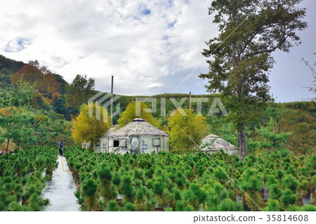 Fog and Rain - in Jianshi Digital Sky Taiwan Fog and Rain - in Jianshi Digital Sky Taiwan 35814608