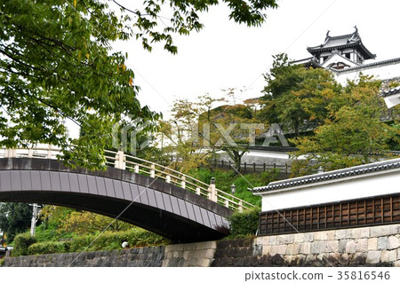 Fukuchiyama castle in autumn 35816546