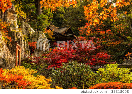 Nayoji Temple of the Fall 35818008