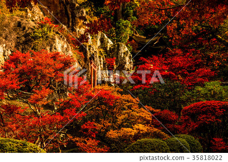 Nayoji Temple of the Fall 35818022