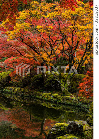 Nayoji Temple of the Fall 35818037