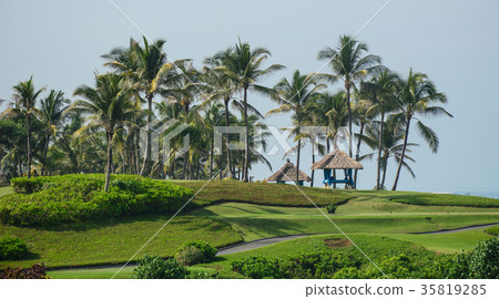 Golf club with green hill and many palm trees 35819285