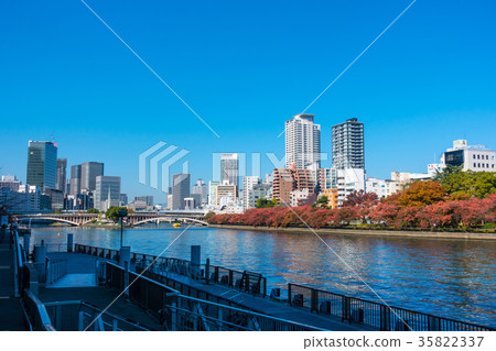 Okawa摩天大樓和秋葉 35822337