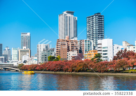 Okawa摩天大樓和秋葉 35822338