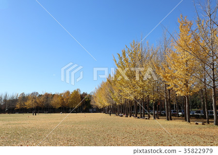 科學博覽會紀念公園 科學博覽會紀念公園 35822979