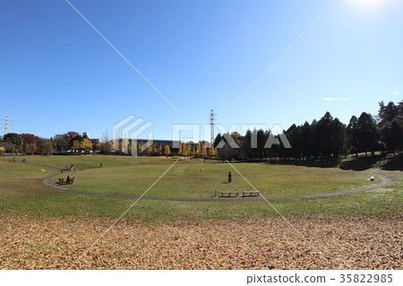 Science Expo Memorial Park 35822985