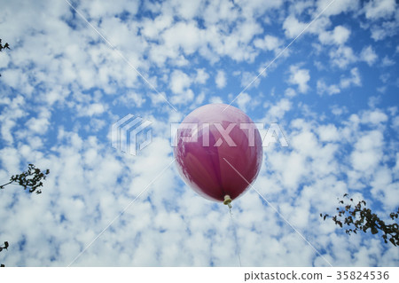 Landscape balloons 35824536