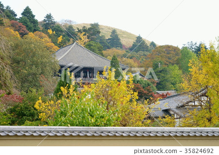 Autumn February 1 Autumn February 1 35824692