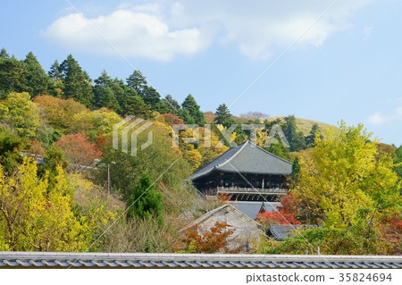 Autumn February 2 Autumn February 2 35824694