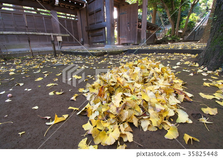 秋天離開的Torakuji寺廟的理由 35825448