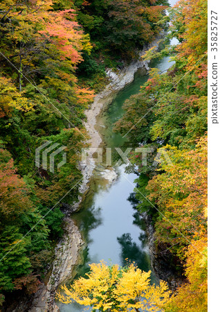 Koankyo of autumn leaves Akita 35825727
