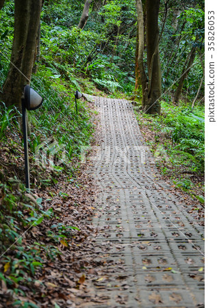 Small boat, park, way Small boat, park, way 35826053