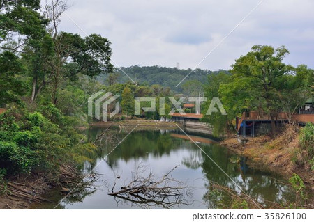 美麗的鄉村水塘在台灣苗栗縣銅鏡村 美麗的鄉村水塘在台灣苗栗縣銅鏡村 35826100