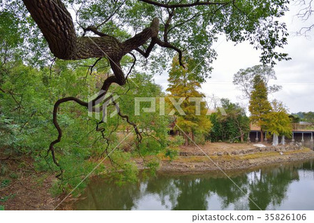 Beautiful rural pond in Bronze Village, Miaoli County, Taiwan 35826106