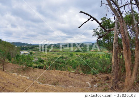Beautiful rural pond in Bronze Village, Miaoli County, Taiwan 35826108