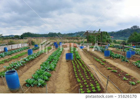 Beautiful rural pond in Bronze Village, Miaoli County, Taiwan 35826170