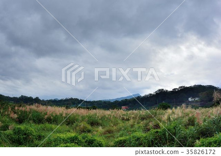美麗的鄉村水塘在台灣苗栗縣銅鏡村 美麗的鄉村水塘在台灣苗栗縣銅鏡村 35826172