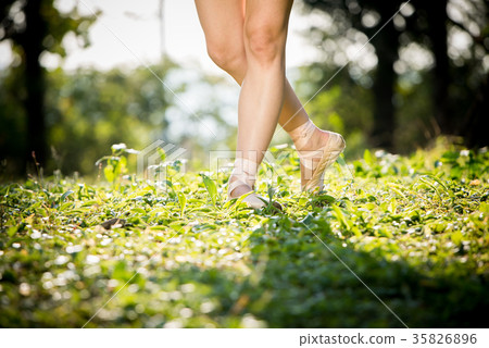 芭蕾舞女演員 35826896