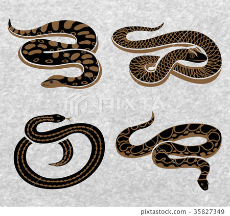 Black Snakes Set 35827349