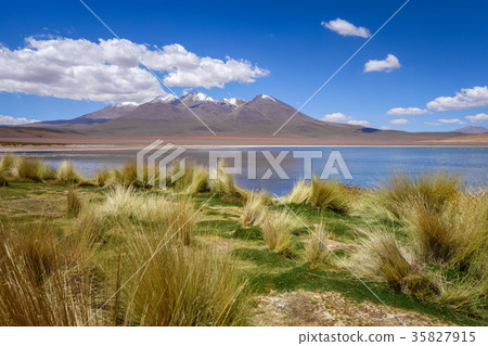 Altiplano laguna in sud Lipez reserva, Bolivia 35827915