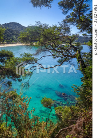 Track view in Abel Tasman, New Zealand 35827961