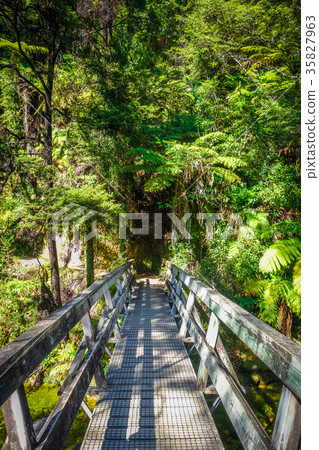 Bridge on a river. Abel Tasman, New Zealand 35827963