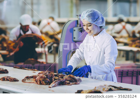 Raw meat production factory worker Raw meat production factory worker 35828124