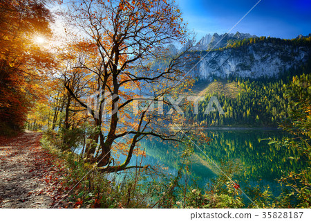 idyllic colorful autumn scenery in Gosausee lake 35828187
