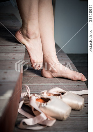 芭蕾舞女演員 35828953