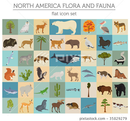 North America flora and fauna flat elements North America flora and fauna flat elements 35829279