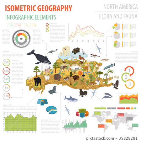Isometric 3d North America flora and fauna map Isometric 3d North America flora and fauna map 35829281