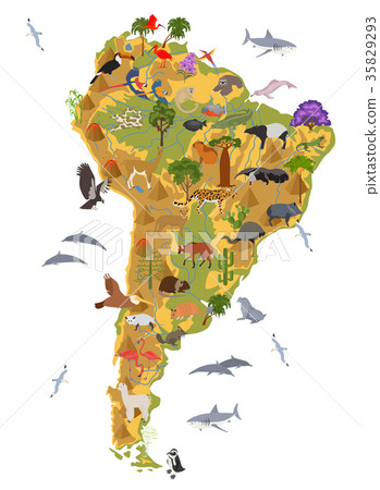 South America flora and fauna map, flat elements 35829293