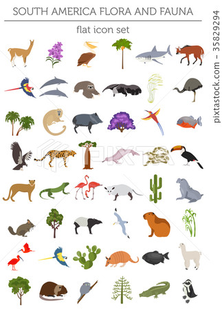 South America flora and fauna flat elements 35829294