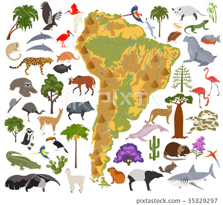 South America flora and fauna map, flat elements 35829297