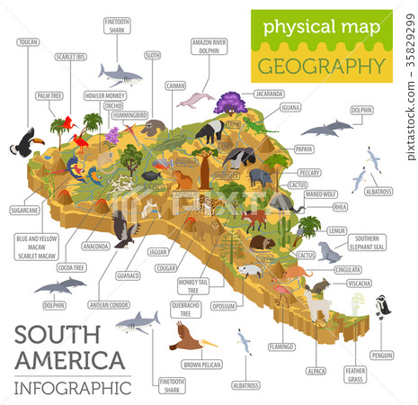Isometric 3d South America flora and fauna map 35829299