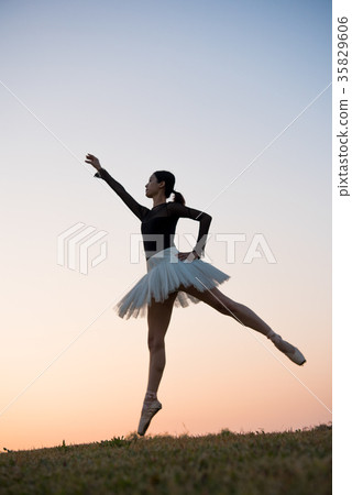 Ballerina Ballerina 35829606