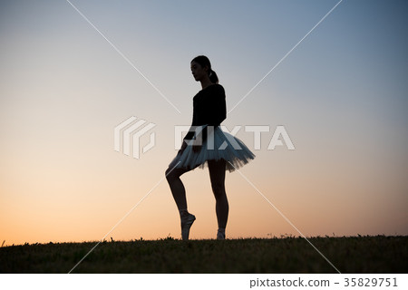 Ballerina Ballerina 35829751