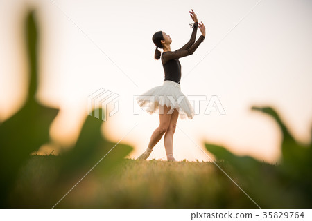 Ballerina 35829764