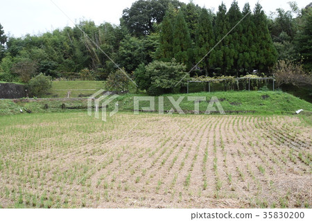 神戶市北區的鄉村 35830200