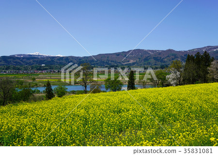 Chikuma河和Mt. Chikuma河和Mt. 35831081