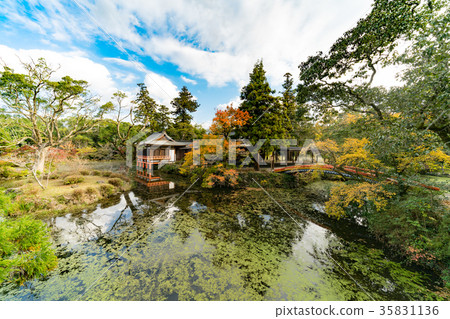 Usa Jingu Noh Stage 35831136