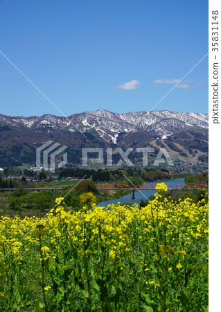 View the Chikuma River from the rape blossoms park View the Chikuma River from the rape blossoms park 35831148