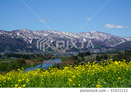 從油菜花公園觀看Chikuma河 35831152