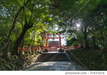 Usa Shingu Nishidamon Usa Shingu Nishidamon 35831628