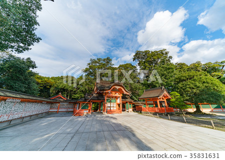 Usa Shingu Nishidamon 35831631