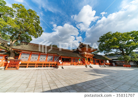 Usa Shrine Kamimiyamotodon 35831707