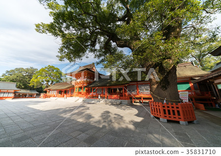 Usa Shrine Kamimiyamotodon 35831710