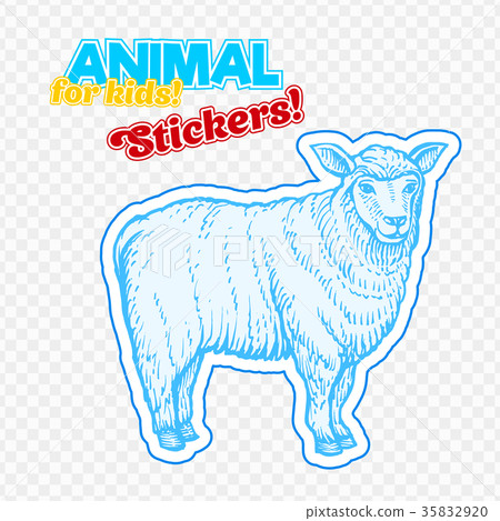 Farm animal sheep in sketch style on colorful 35832920