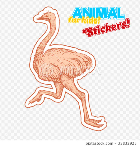 Farm animal ostrich in sketch style on colorful 35832923