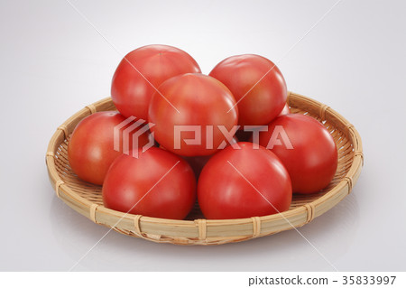 新鮮採摘的西紅柿 35833997